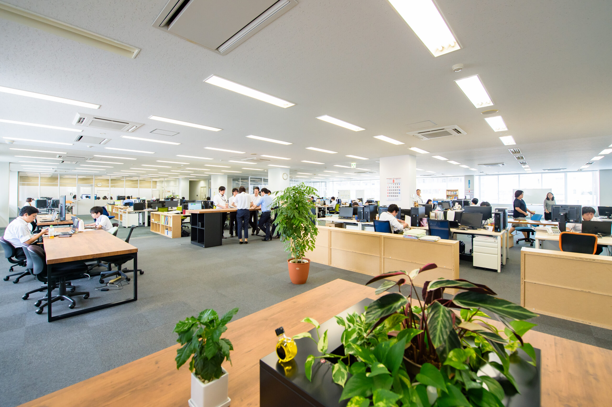 株式会社 地域科学研究所